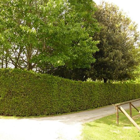 Il Nido Villa Lucca Ngoại thất bức ảnh