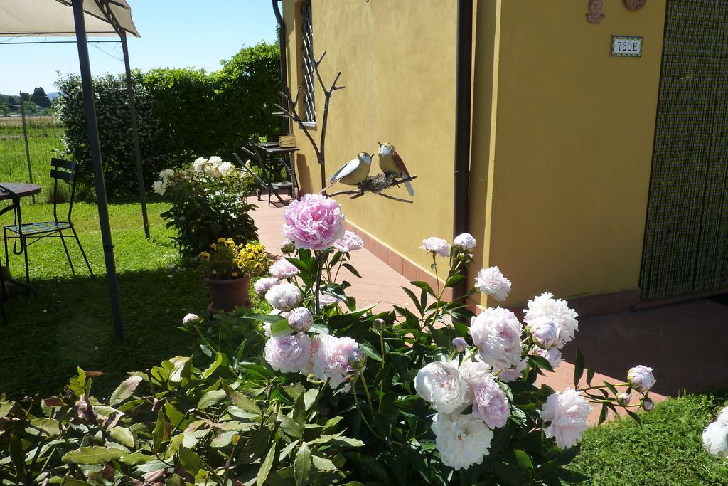 Il Nido Villa Lucca Phòng bức ảnh