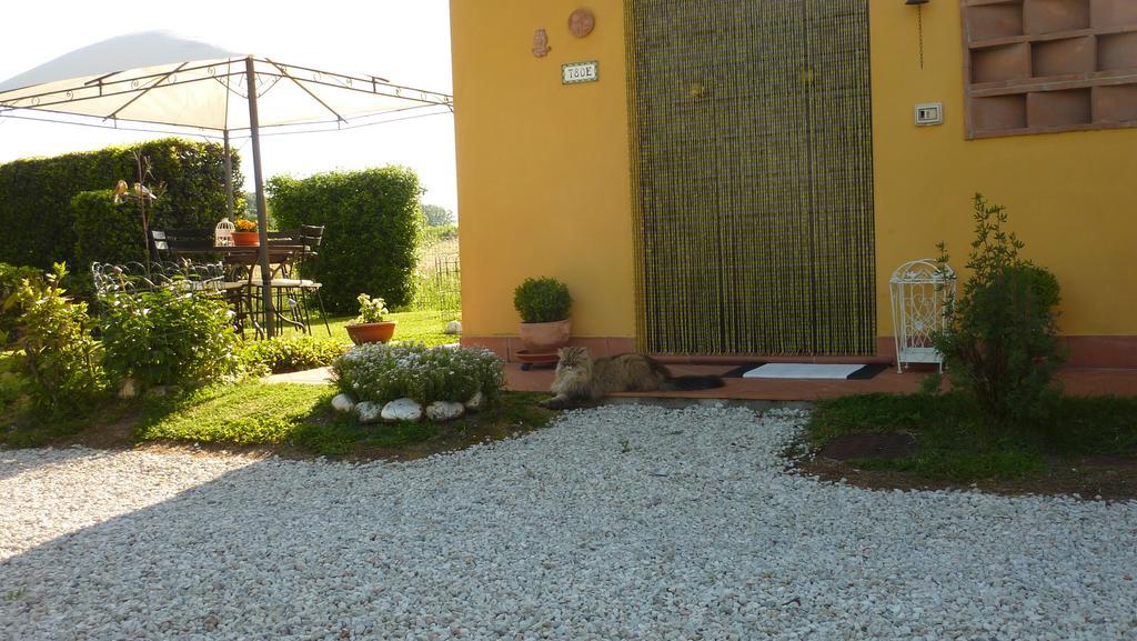 Il Nido Villa Lucca Ngoại thất bức ảnh